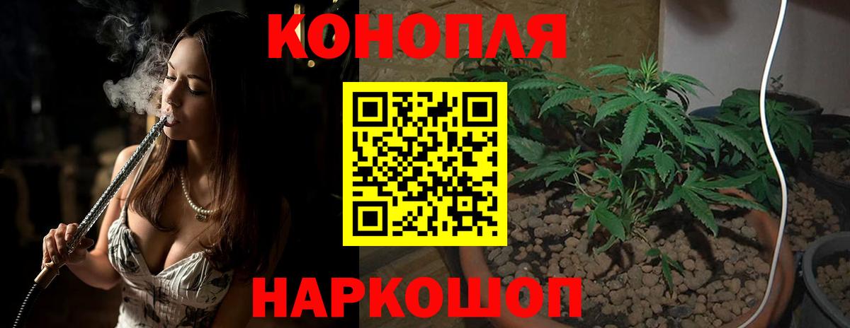 Шишки марихуана марихуана Воскресенск